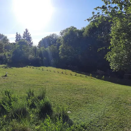Holiday home Du Petit Olivier - 2 A 4 Pers -1 Chb *