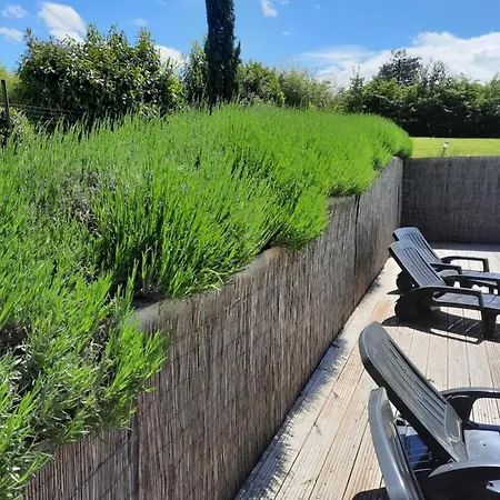 Du Petit Olivier - 2 A 4 Pers -1 Chb Holiday home *