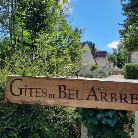 Holiday home Du Petit Olivier - 2 A 4 Pers -1 Chb *