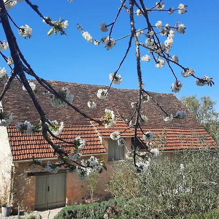 Du Petit Olivier - 2 à 4 Pers -1 Chb Hébergement de vacances Saint-Cirq-Souillaguet